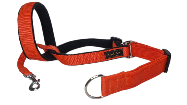 Couleur 2Posh2Pull™ - Orange