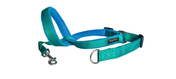 Couleur 2Posh2Pull™ - Vert