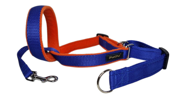 Couleur 2Posh2Pull™ - Bleu Royal