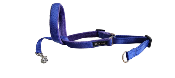Couleur 2Posh2Pull™ - Bleu Royal