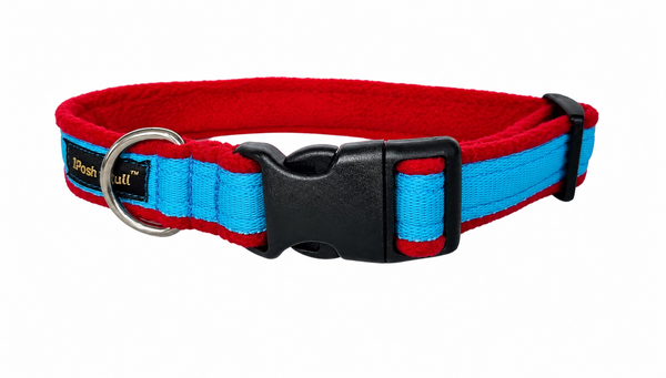 Collier Couleur - Turquoise
