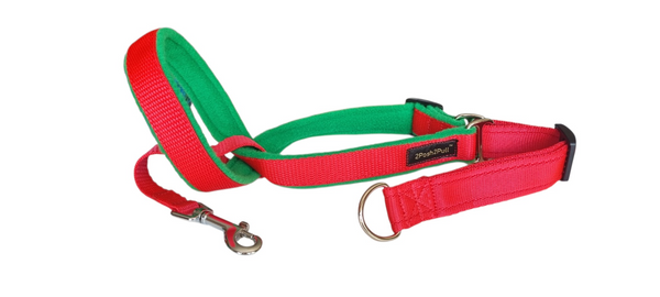 Couleur 2Posh2Pull™ - Rouge