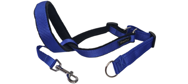 Couleur 2Posh2Pull™ - Bleu Royal