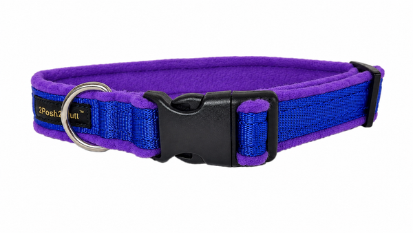 Collier Couleur - Bleu Royal