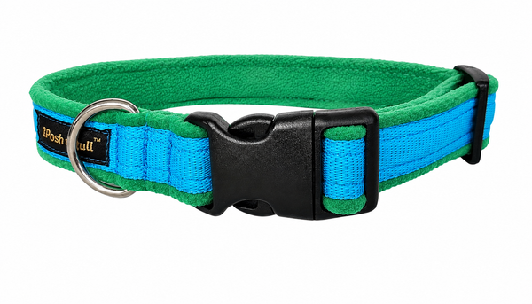 Collier Couleur - Turquoise