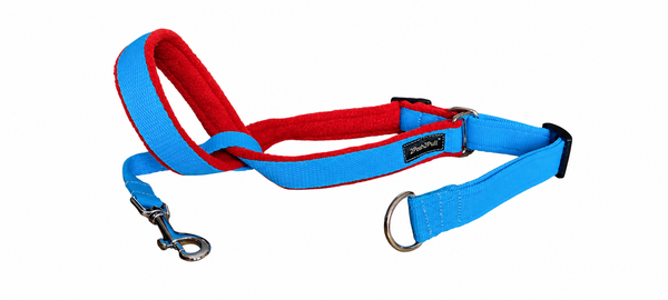 Couleur 2Posh2Pull™ - Turquoise