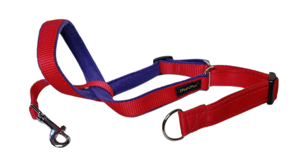 Couleur 2Posh2Pull™ - Rouge