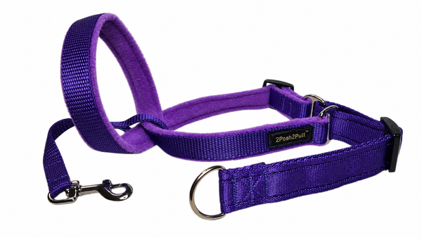 Couleur 2Posh2Pull™ - Violet