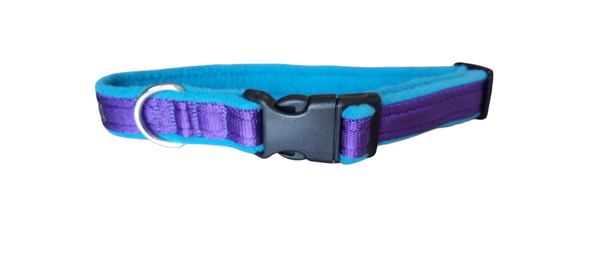 Collier de couleur - Violet