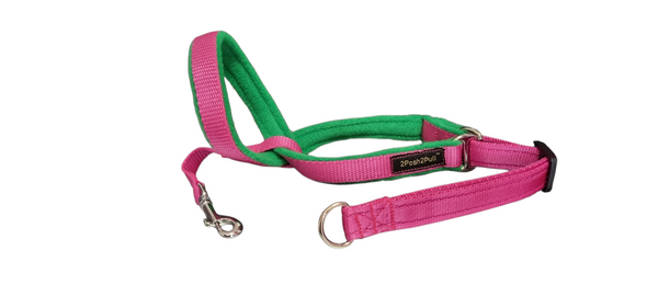 Couleur 2Posh2Pull™ - Rose