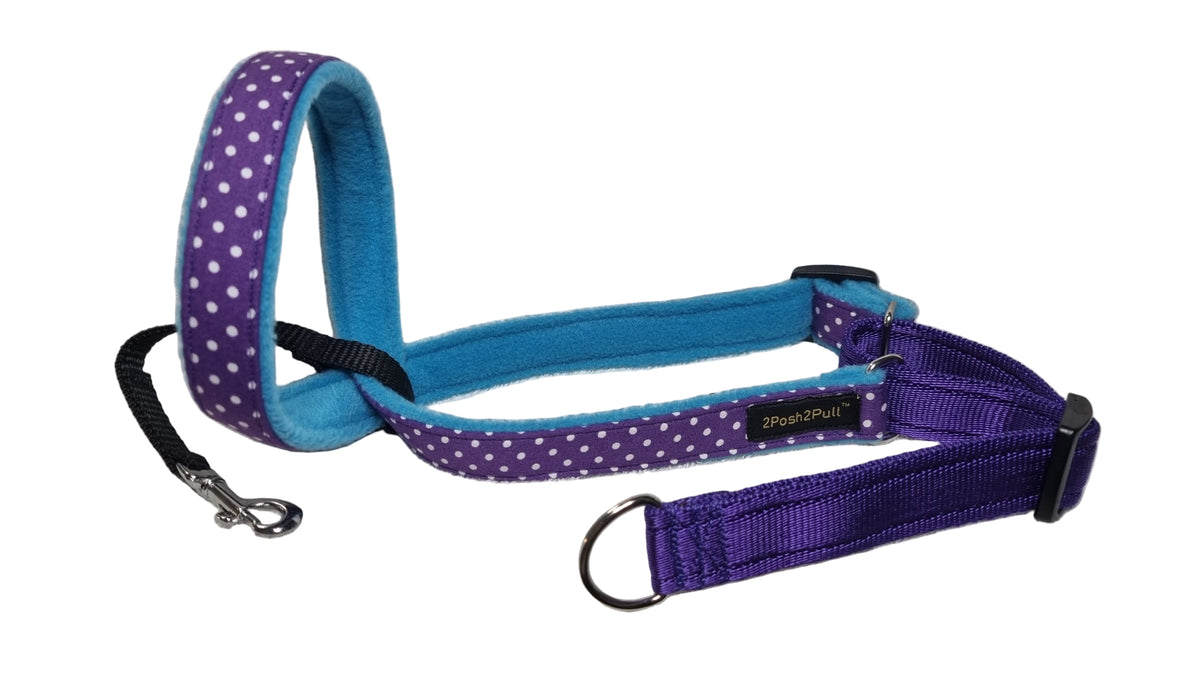 Luxury 2Posh2Pull™ - Purple Polka Dot