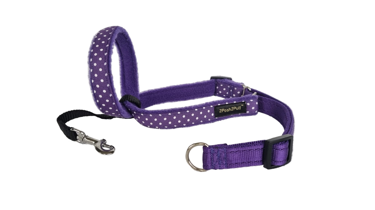 Luxury 2Posh2Pull™ - Purple Polka Dot