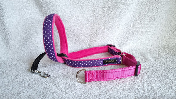 Dog Collar Rose - Regal Purple - Custom Designer Dog Collars by