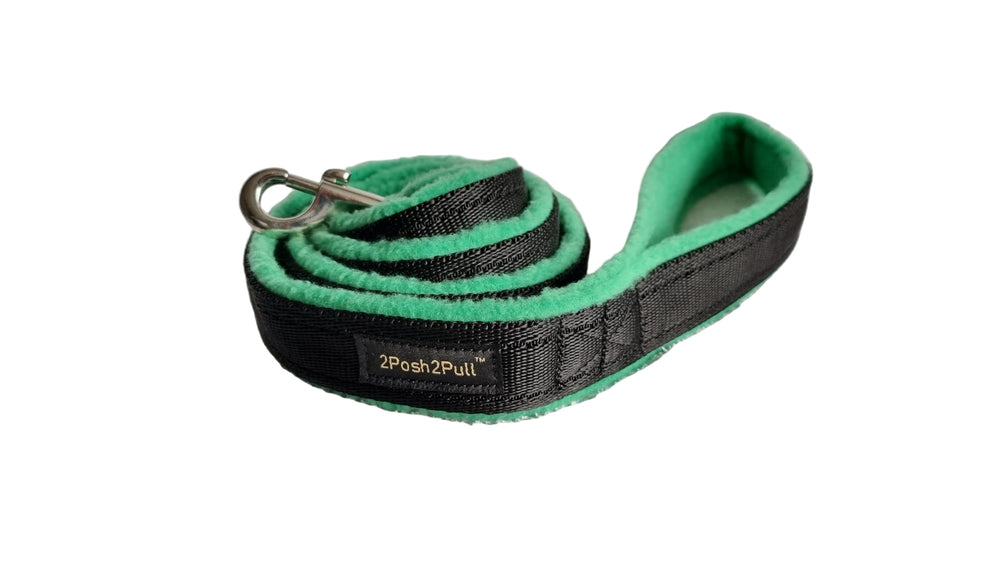 Original Lead